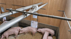 RPO344_EUROTIER_AWARDS_WEB_7.jpg